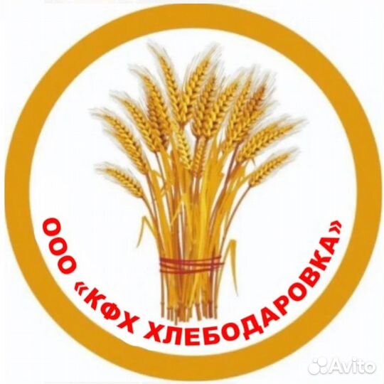 Автокрановщик