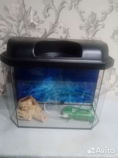 Аквариум