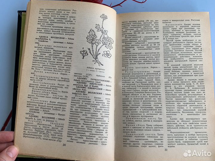 Книга лекарственные растения махлаюк