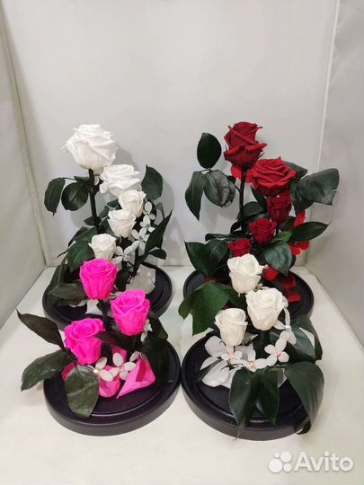 Розы оптом