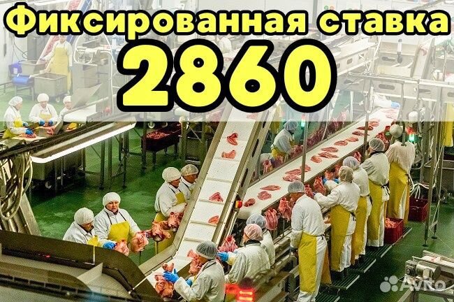 Выезд из Тольятти Упаковщики Питание проживание