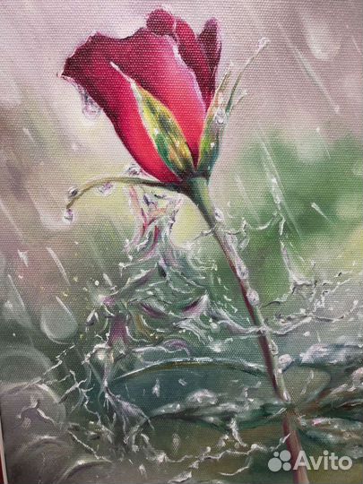 Картина маслом Роза дождя