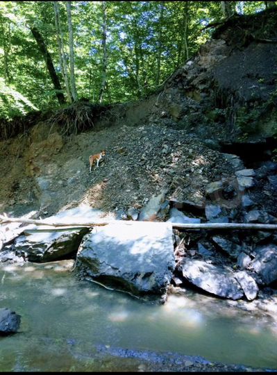 Участок 44 сот. (ИЖС)