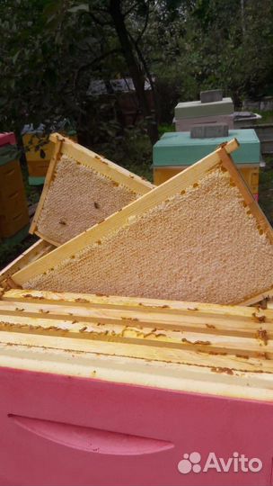 Мед, мёд сотовый
