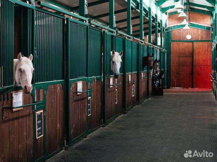 Постой лошадей трассы М2 М4