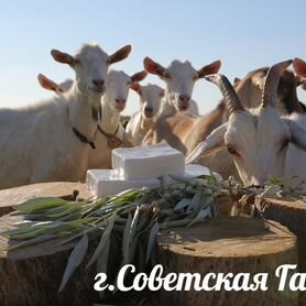 Продукты на корм животным (г.Советская Гавань)