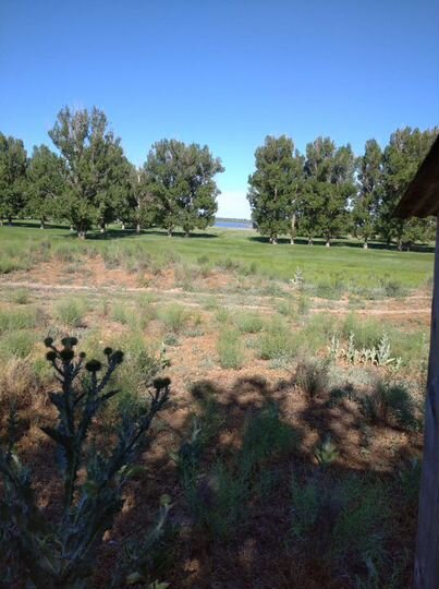 Дом 20 м² на участке 8 сот.