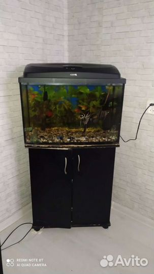 Оборудование для аквариума