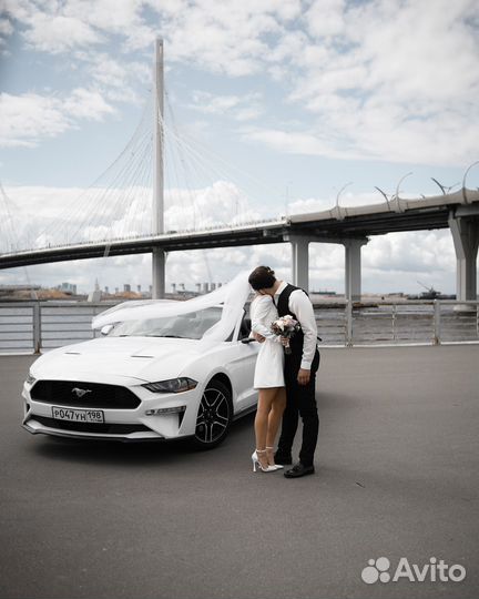 Свадебный фотограф, фотограф love story, фотограф