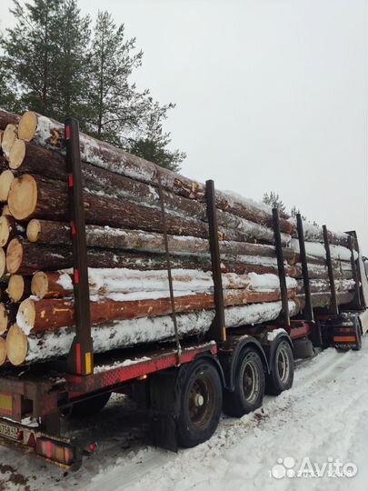 Пиловочник Круглый лес