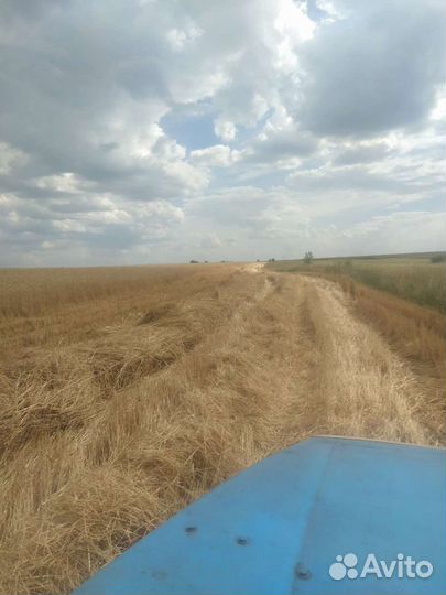 Тракторист механизатор