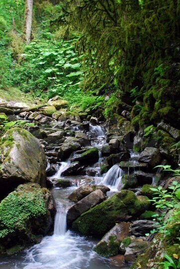 Участок 100 сот. (ИЖС)