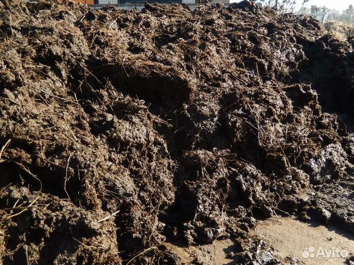 Навоз коровий с доставкой