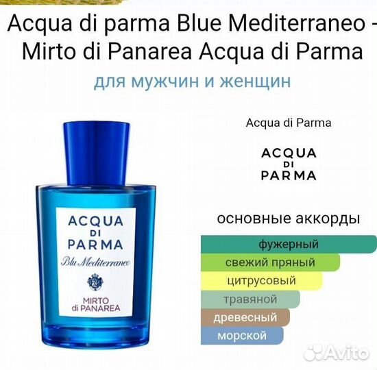 Acqua DI parmamirto di panarea