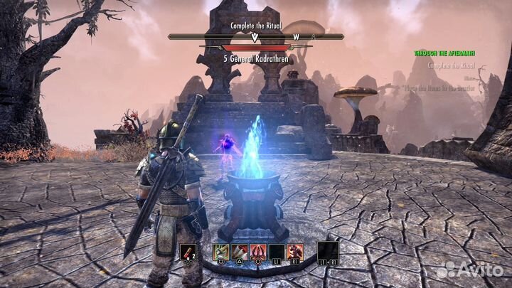 The Elder Scrolls Online диск с игрой PS4