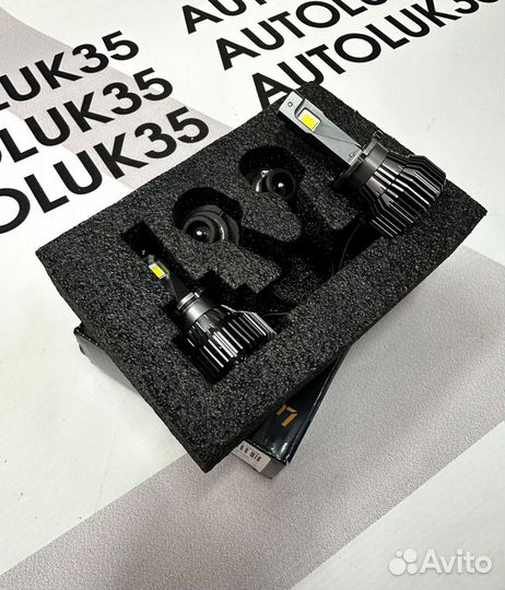 Светодиодные лампы D1S led