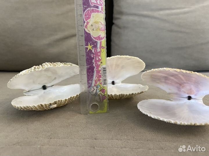 Декоративные ракушки