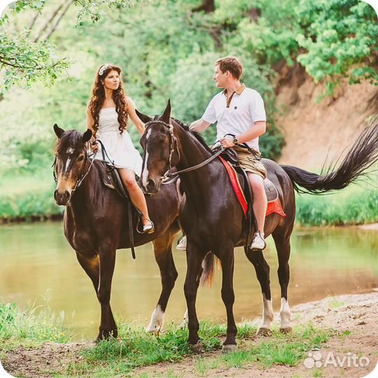 Конная прогулка вдоль Енисея