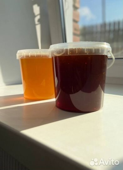 Алтайский мед оптом 2023