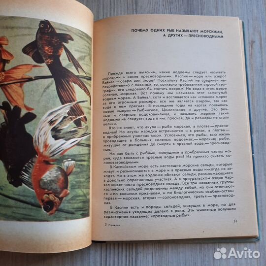 Рассказ о жизни рыб. Правдин. 1972 г