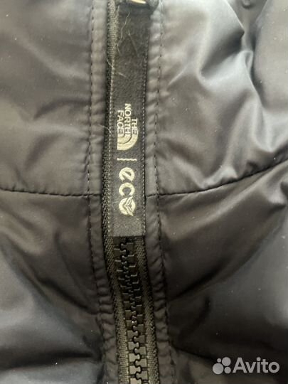 The north face eco пуховик
