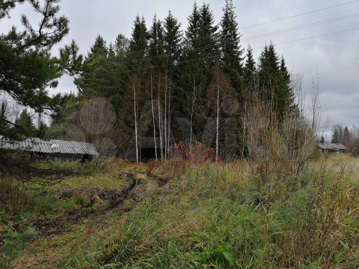 Участок 10 сот. (СНТ, ДНП)