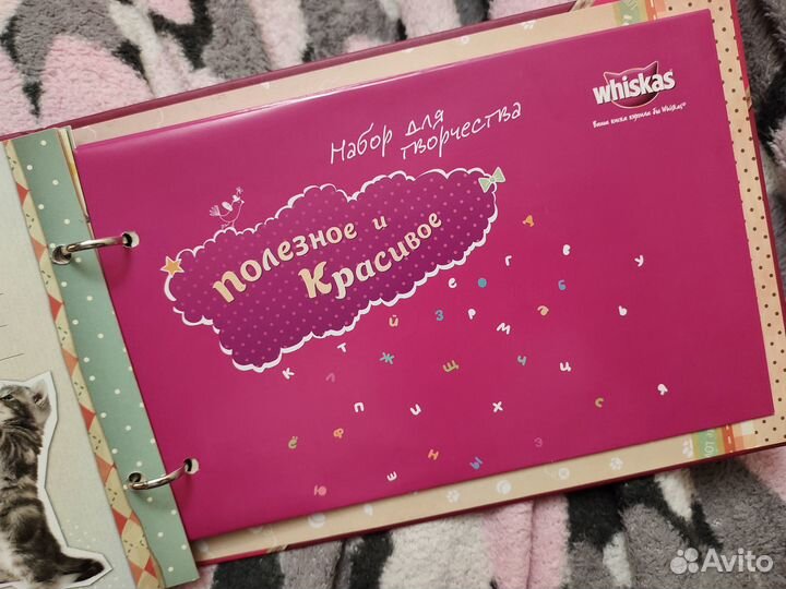 Фотоальбом для котёнка котёнок творчество