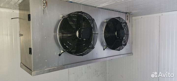 Аренда шокера (камеры шоковой заморозки)