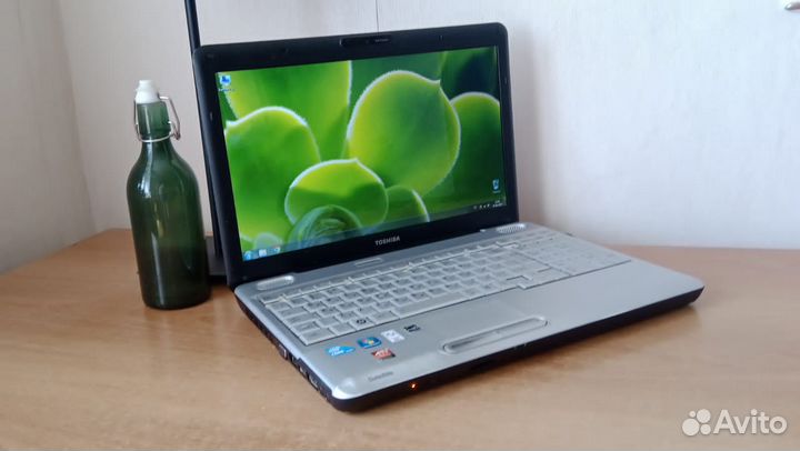 Шустрый Ноутбук toshiba