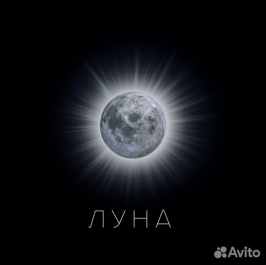 Астролог. Консультации и обучение