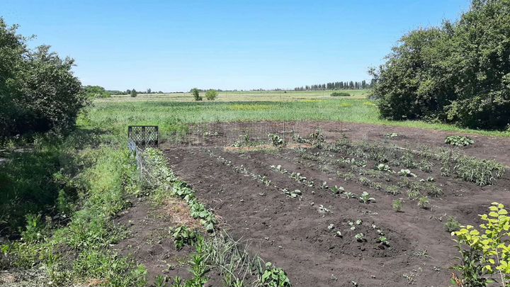 Участок 9 сот. (СНТ, ДНП)