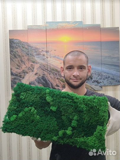 Яркие эко панели 25х50см из натурального мха