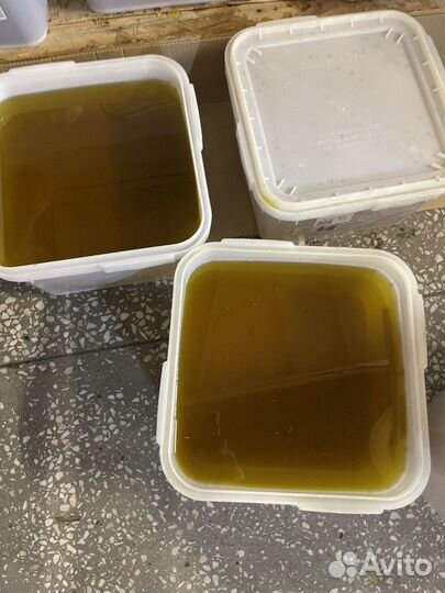 Свежий мёд цветочный. Качка 2023 г. Оптом