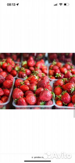 Продавец уличной торговли