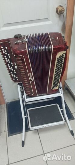 Баян weltmeister