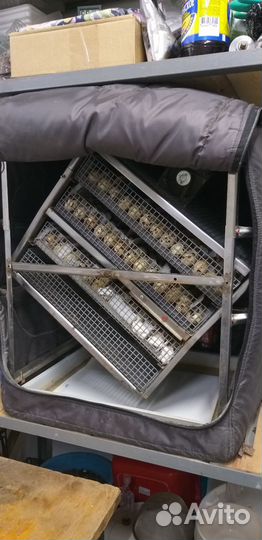 Инкубатор бытовой тгб био 280(210)