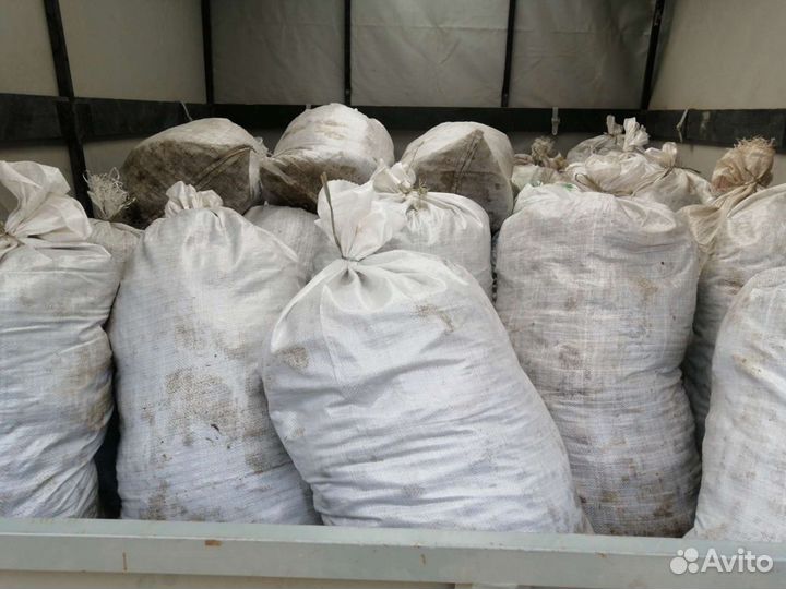 Навоз коровий