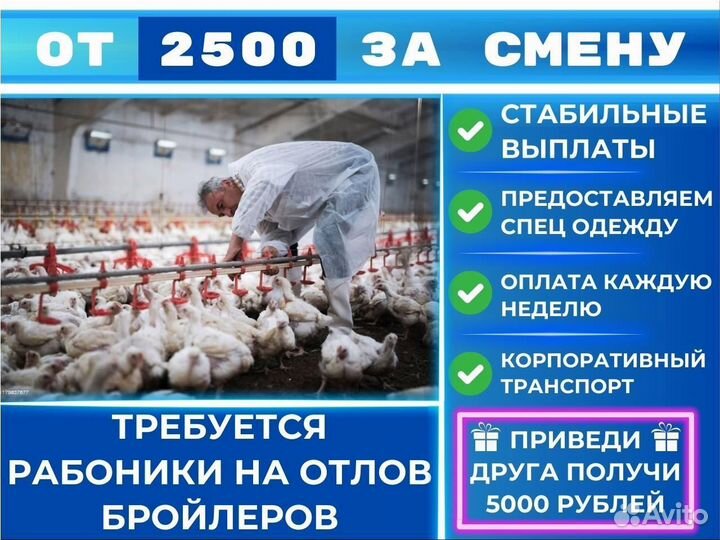 Рабочие в цех отлова