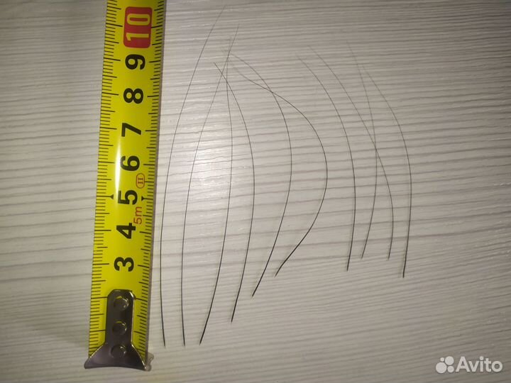 Кошачьи усы