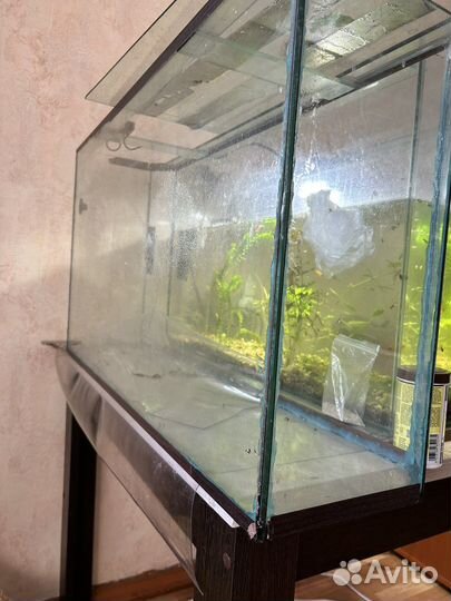 Аквариум и компрессор tetra