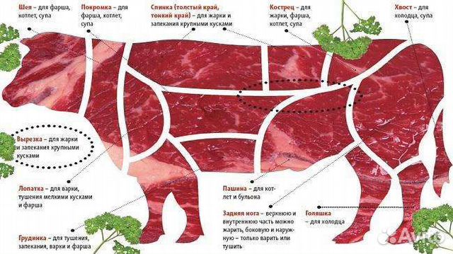 Почечное мясо свинины где находится фото куплю мясо говядина - Авито Объявления в Ленинске-Кузнецком: купить вещь, выбрат