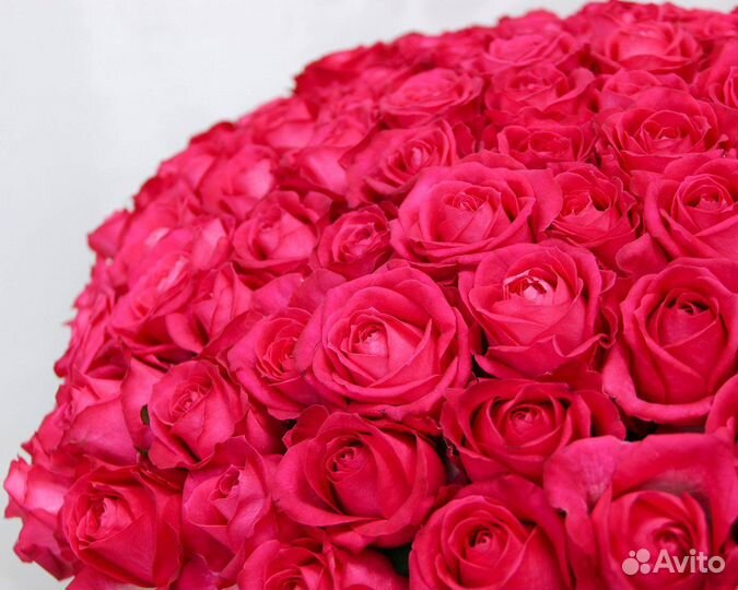 Букет из 101 малиновой розы 40 см (Россия)