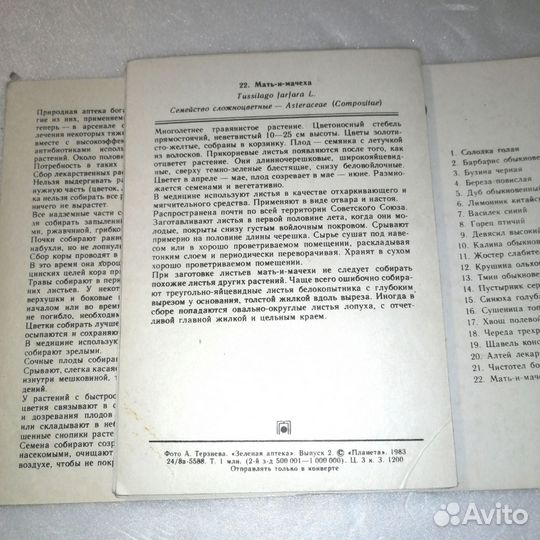Набор открыток «Зеленая аптека»