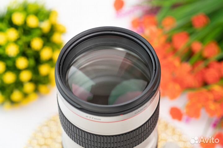 Canon EF 70-200mm f/2.8L USM