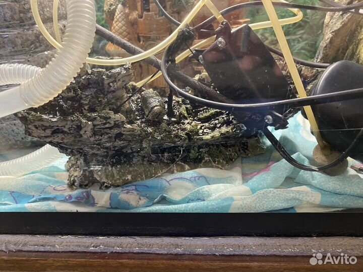 Аквариум 150л с тумбой и аксессуарами