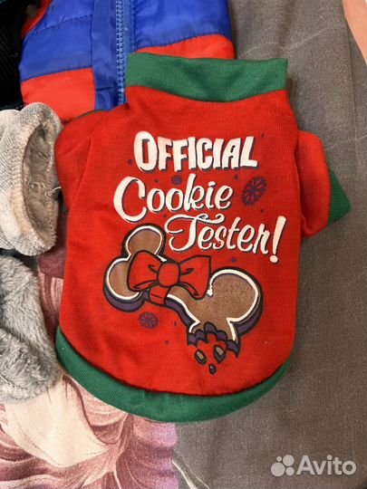 Одежда для собак (чихуахуа )