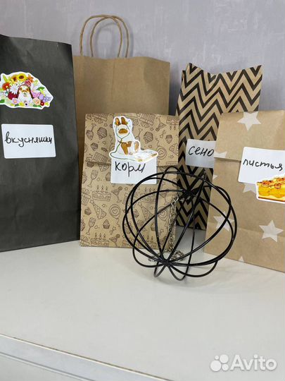 Карликовые кролики