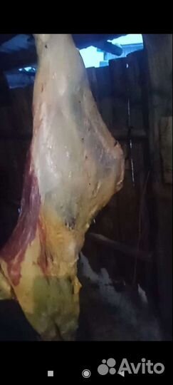 Мясо Халяль