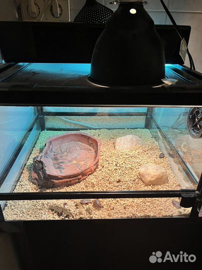 Террариум для рептилий бу с лампами
