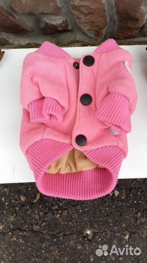 Одежда для собачек, намордник, ошейник, поводки